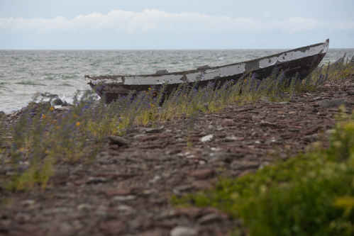 Träeka