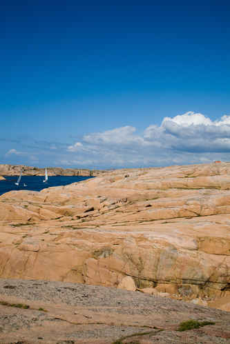 Västkusten