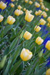 bilder080504-7.jpg