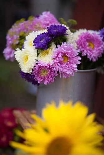 Blommor