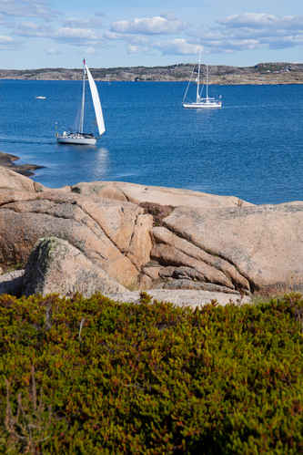 Segelbåt