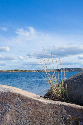Västkusten