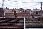 bohuslan100904-33.jpg