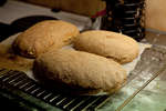 brod100114-2.jpg