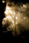 dimma121010-6.jpg