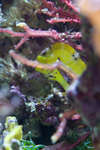 djur080611-30.jpg