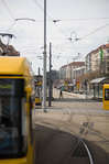 dresden-78.jpg