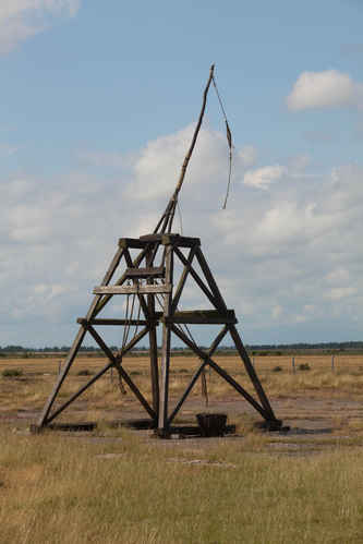 Dragkraftslunga