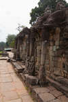 elefantterrassen100330-1.jpg