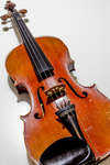 fiol130308-4.jpg