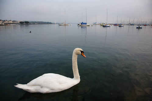 Genevesjön