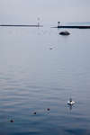 geneve091114-35.jpg