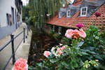 goslar091114-39.jpg
