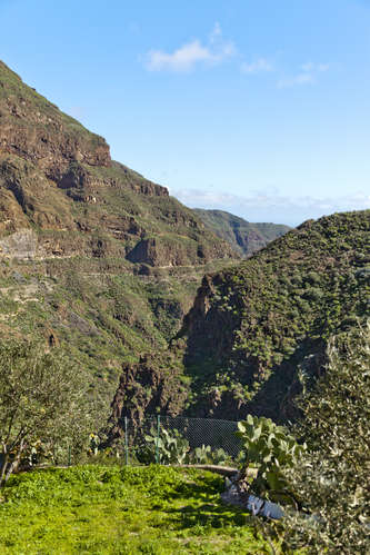 Barranco de Guayadeque