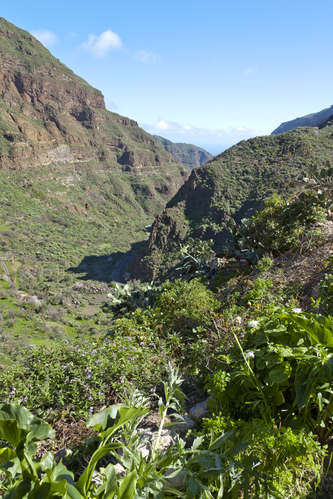 Barranco de Guayadeque