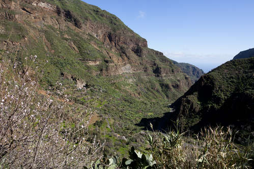 Barranco de Guayadeque