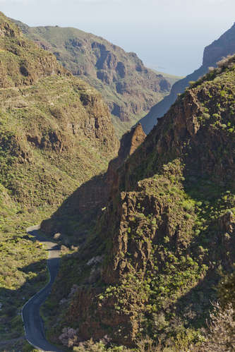 Barranco de Guayadeque