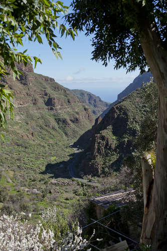 Barranco de Guayadeque