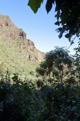 Gran Canaria
