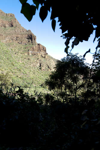 Gran Canaria