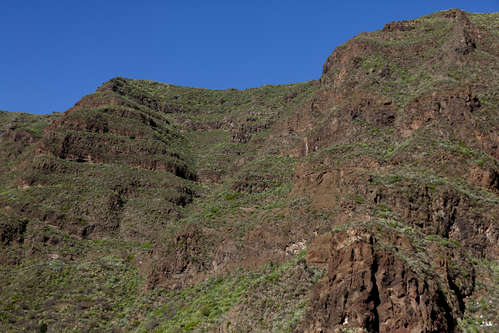 Gran Canaria