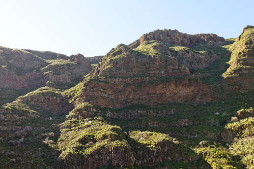 Berg