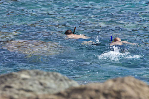 Snorkla