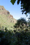 gran-canaria110614-35.jpg