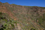 gran-canaria110614-9.jpg