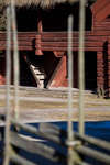 gratisbilder-080308-4.jpg