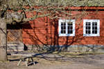gratisbilder-080308-5.jpg
