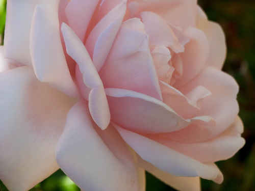 Gratis bilder