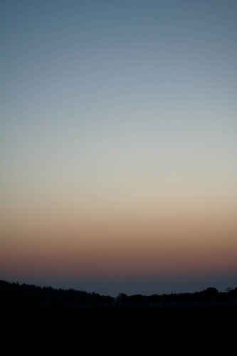 Gratis bilder