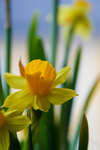 gratisbilder-080324-103.jpg