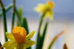 gratisbilder-080324-104.jpg