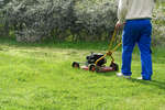 gratisbilder-080324-139.jpg