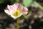 gratisbilder-080324-146.jpg