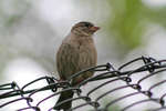 gratisbilder-080324-166.jpg