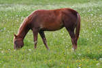 gratisbilder-080324-167.jpg