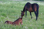 gratisbilder-080324-178.jpg