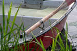 gratisbilder-080324-191.jpg