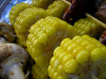 gratisbilder-080324-8.jpg