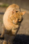 hastar080722-32.jpg