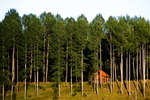 hastar080722-40.jpg