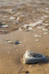 hav121012-10.jpg