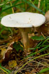 host101003-02.jpg