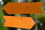 host101003-20.jpg