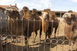 inre-mongoliet121026-1.jpg
