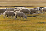 inre-mongoliet121026-2.jpg