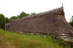 skaftekarr-jarnaldersby-03.jpg